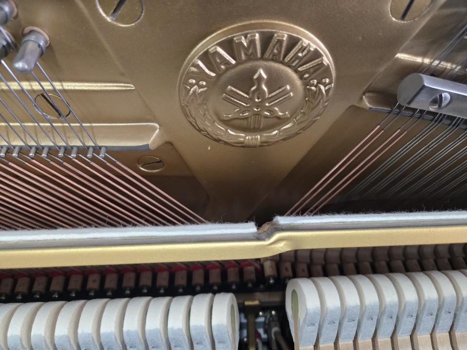 dda9977161b78f7432eaa5ce749ac35f_1774935