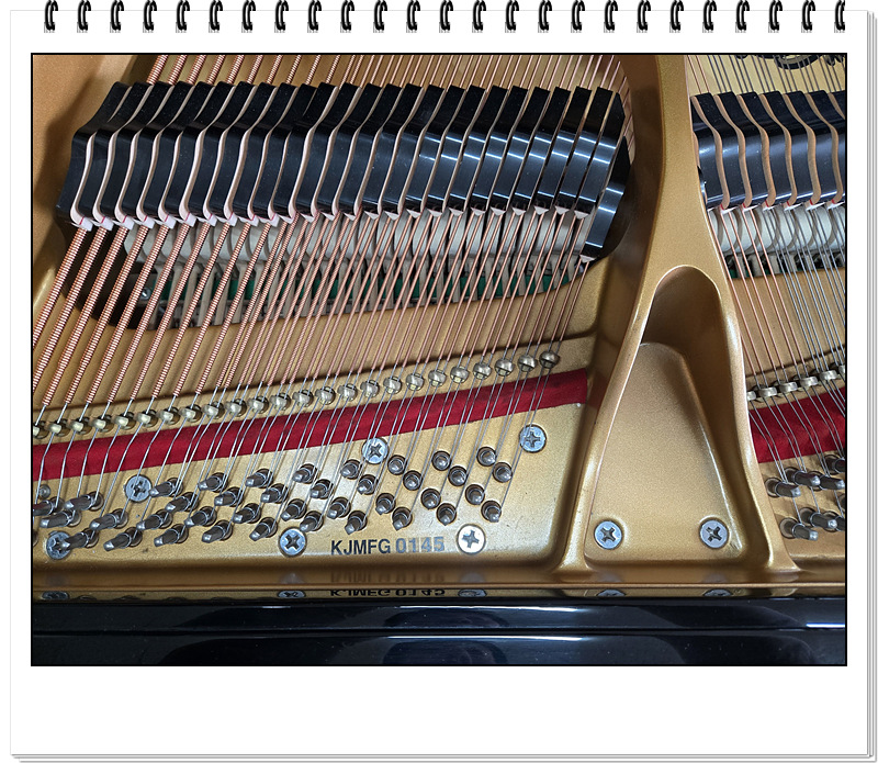 0ff489e359feb77536d80679aa18d597_1775903589_9942.jpg 0ff489e359feb77536d80679aa18d597_1775903