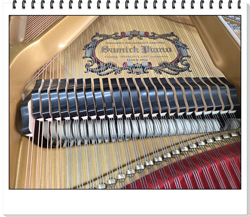 0ff489e359feb77536d80679aa18d597_1775903590_1234.jpg 0ff489e359feb77536d80679aa18d597_1775903